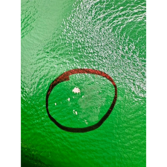 The Sak Green Leather Purse 11x6.5 Shoulder Strap - Picture 8 of 8